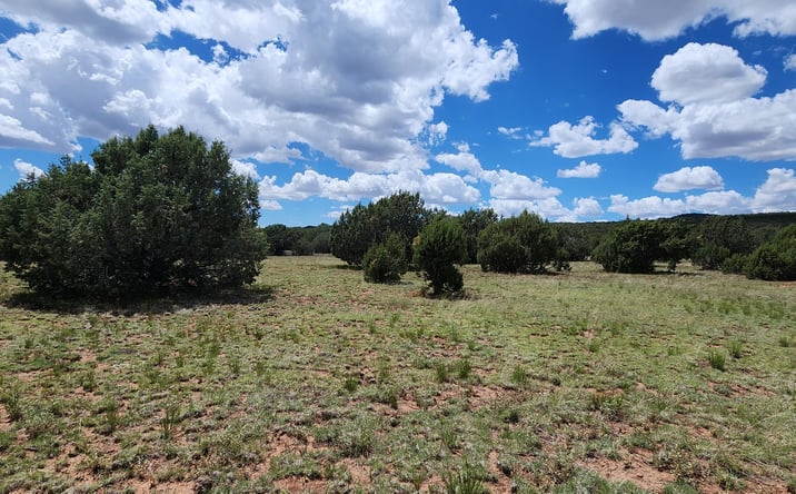 Pictures of Land property located at 687-A Medicine Man Trail, Seligman, AZ 86337 for sales - image #1