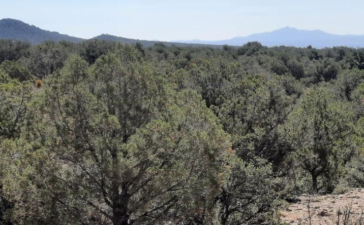 Pictures of Land property located at 166 W2 Westwood Ranch, Williams, AZ 86046 for sales - image #1
