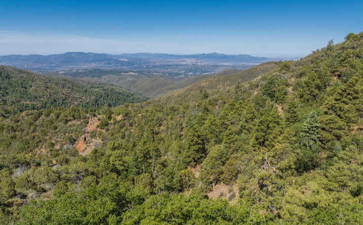 Pictures of Land property located at 0 Forest 667 Road, Prescott, AZ 86303 for sales - image #1