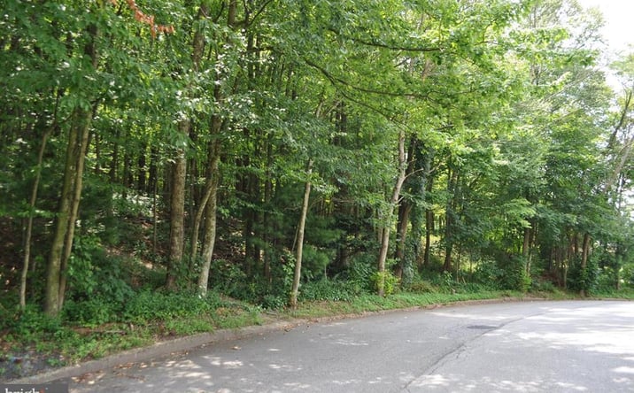 Pictures of Land property located at 0 Mahantongo Dr, Pottsville, PA 17901 for sales - image #1