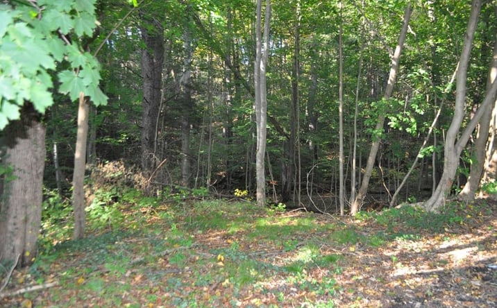 Pictures of Land property located at 2505 West End Ave, Pottsville, PA 17901 for sales - image #1