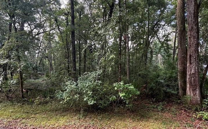 Pictures of Land property located at 2 NE 83rd Ave, Old Town, FL 32680 for sales - image #1