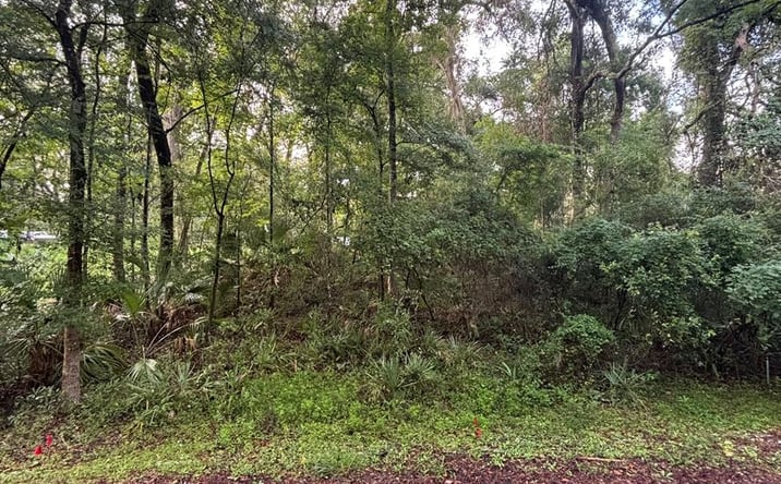 Pictures of Land property located at 01 NE 83rd Ave, Old Town, FL 32680 for sales - image #1