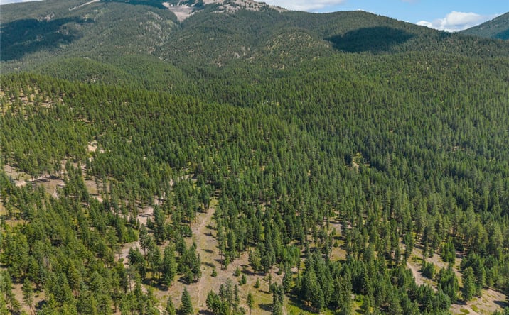 Pictures of Land property located at NHN Lot 16A Corona Court, Plains, MT 59859 for sales - image #1