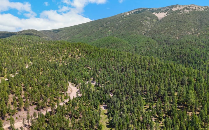 Pictures of Land property located at NHN Lot 16B Corona Road, Plains, MT 59859 for sales - image #1