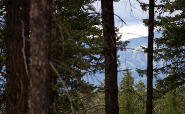 Pictures of Land property located at 149 Rosewood Lane Lot 8, Whitefish, MT 59937 for sales - image #1