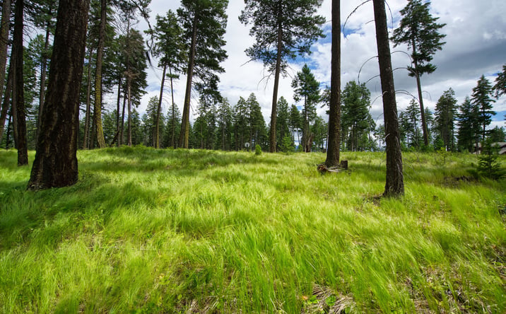 Pictures of Land property located at 182 Rosewood Lane Lot 15, Whitefish, MT 59937 for sales - image #1