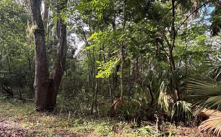 Pictures of Land property located at 0 NE 83rd Ave, Old Town, FL 32680 for sales - image #1