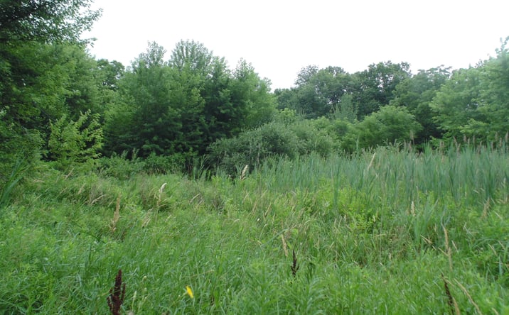 Pictures of Land property located at 2899 State Street, Lake Station, IN 46405 for sales - image #1