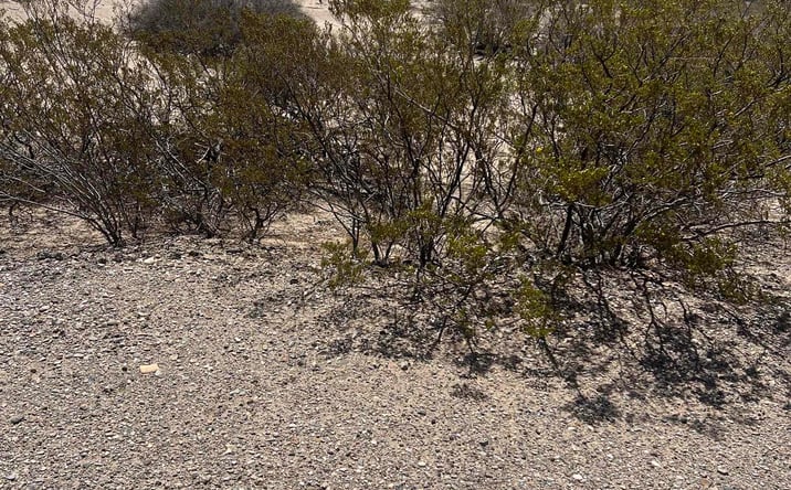 Pictures of Land property located at 200 Springland Boulevard, Elephant Butte, NM 87935 for sales - image #1