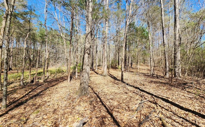 Pictures of Land property located at Deer Ridge Dr, Hamilton, GA 31811 for sales - image #1