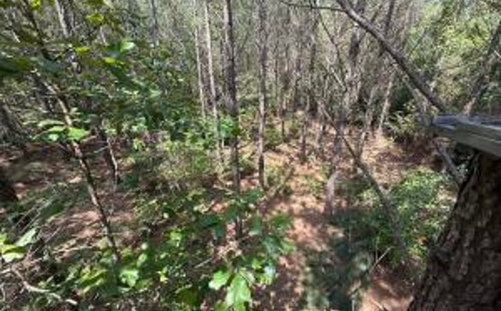 Pictures of Land property located at Hhf 2 Old Georgetown Road W, Kershaw, SC 29067 for sales - image #1