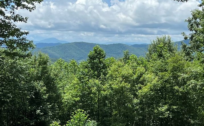 Pictures of Land, Multifamily property located at TBD Holiday Lane, Whitetop, VA 24292 for sales - image #1