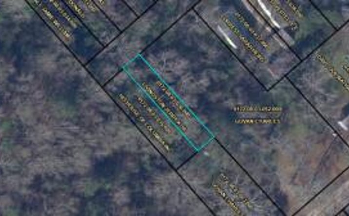 Pictures of Land property located at Tbd Winslow St Street, Orangeburg, SC 29115 for sales - image #1