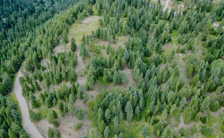 Pictures of Land property located at 248 Abby Rd, Libby, MT 59923 for sales - image #1