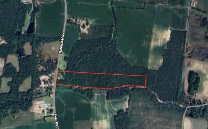 Pictures of Land property located at 0 Nichols Hwy, Aynor, SC 29511 for sales - image #1