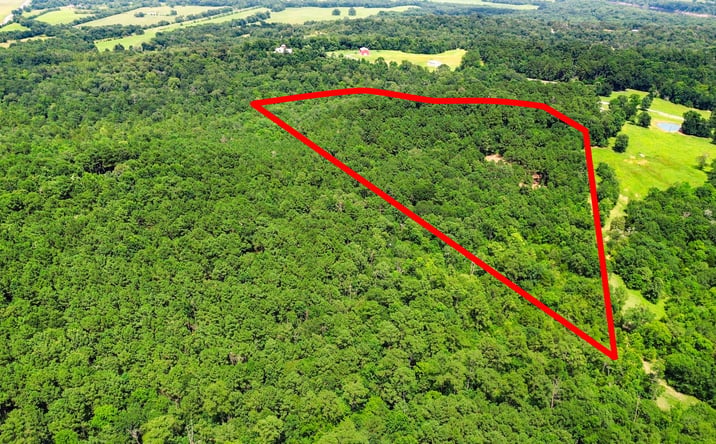 Pictures of Land property located at 268 Cedar Valley Rd, Coldspring, TX 77331 for sales - image #1