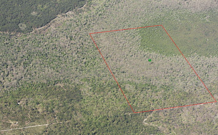 Pictures of Land property located at Underhill Branch Rd, Osteen, FL 32764 for sales - image #1