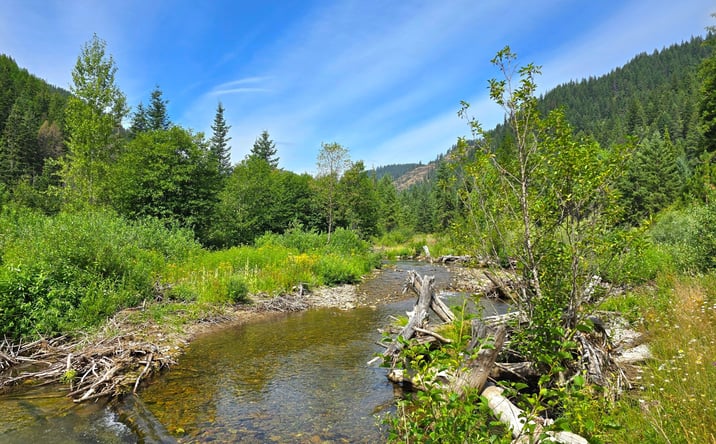 Pictures of Land property located at NHN Marten Creek Road Lots 3 & 4, Trout Creek, MT 59874 for sales - image #1