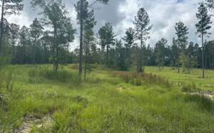 Pictures of Land property located at 1058 Wrights Mill Road, Aiken, SC 29801 for sales - image #1