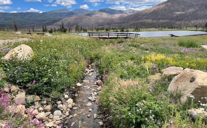 Pictures of Land property located at 3810 Co Rd 491, Grand Lake, CO 80447 for sales - image #1