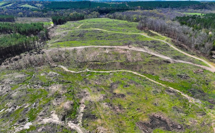 Pictures of Land property located at 1004 Tarpon Rd, Watson, OK 74963 for sales - image #1