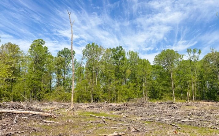 Pictures of Land property located at Mainline Road, Fordyce, AR 71742 for sales - image #1