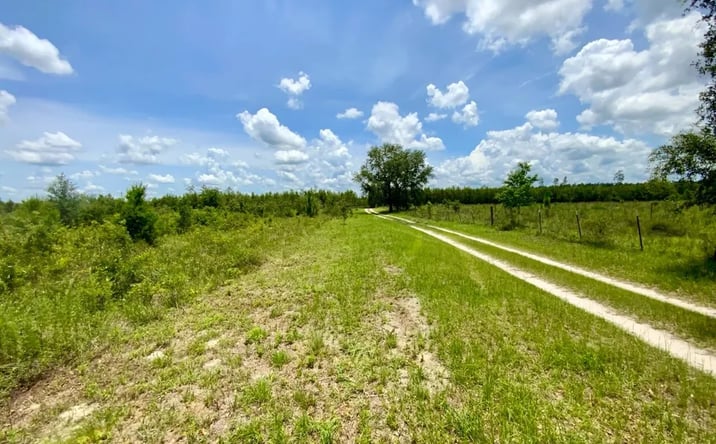 Pictures of Land property located at 2959 SE Winquepin Sr, Lee, FL 32059 for sales - image #1