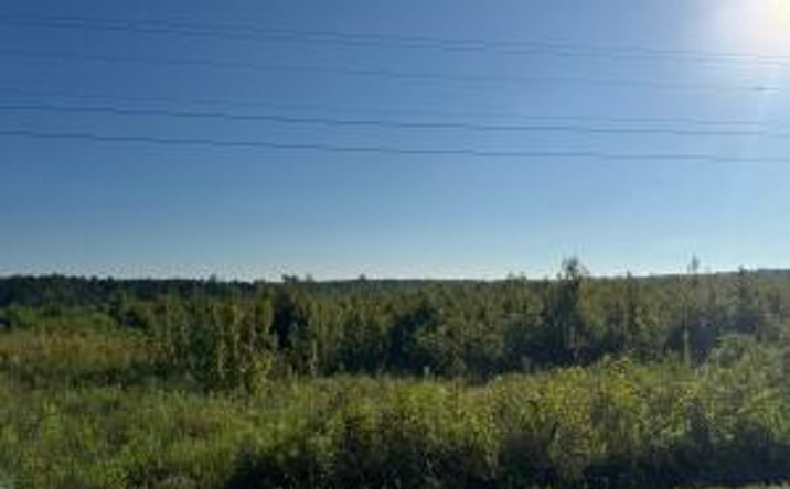 Pictures of Land property located at 20ac Ouzts, Edgefield, SC 29824 for sales - image #1