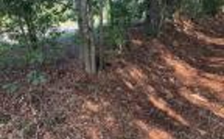 Pictures of Land property located at 0 Huckleberry Finn Road, Batesburg-Leesville, SC 29006 for sales - image #1