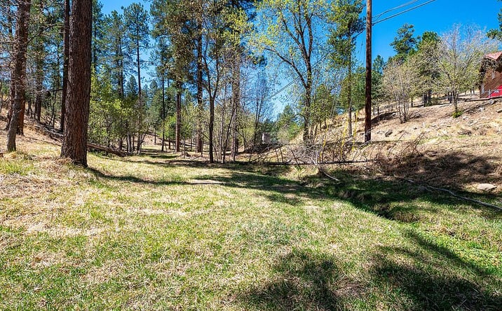 Pictures of Land property located at 205 Flume Canyon Dr, Ruidoso, NM 88345 for sales - image #1