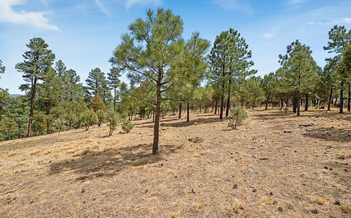 Pictures of Land property located at 19 Twin Tree Lp, Alto, NM 88312 for sales - image #1