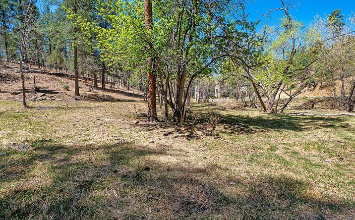 Pictures of Land property located at 205-209 Flume Canyon Dr, Ruidoso, NM 88345 for sales - image #1