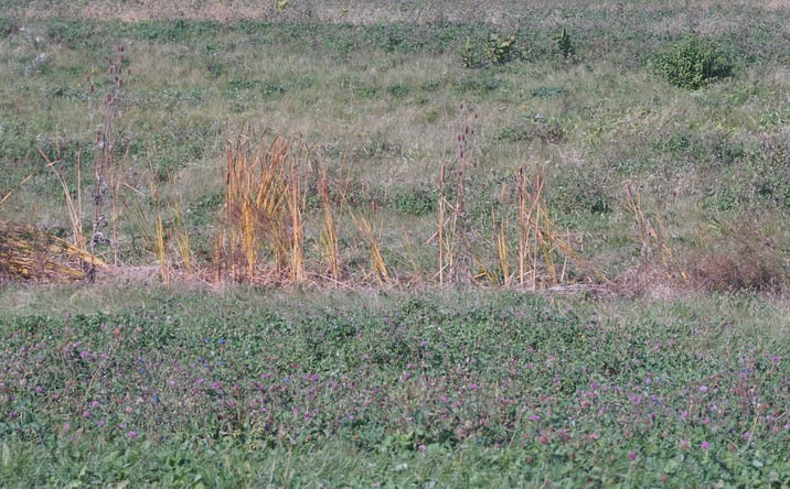 Pictures of Land property located at Lot 4 S Rt 52 Road, Manhattan, IL 60442 for sales - image #1