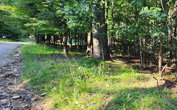 Pictures of Land, Multifamily property located at Lot 8 Apache Trail, Fancy Gap, VA 24328 for sales - image #1