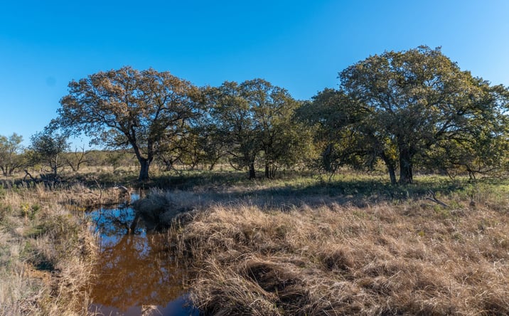 Pictures of Land, Business for Sale property located at 151 AC TBD Hwy 114, Jermyn, TX 76459 for sales - image #1