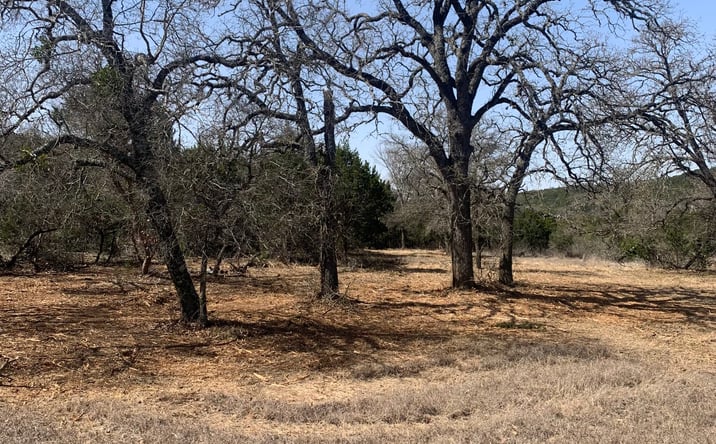 Pictures of Land property located at TBD 25 acres FM 1113, Copperas Cove, TX 76522 for sales - image #1