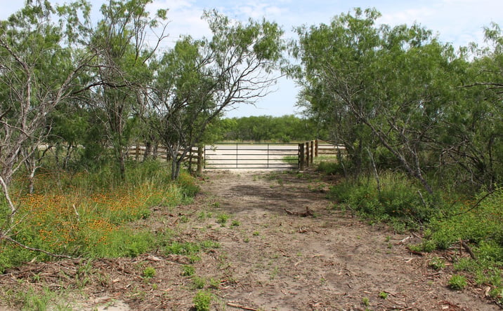 Pictures of Land property located at T1 TBD Hwy 239, Goliad, TX 77963 for sales - image #1