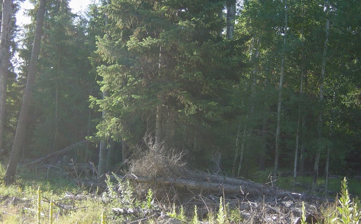 Pictures of Land property located at NHN ACM Road S, Libby, MT 59923 for sales - image #1