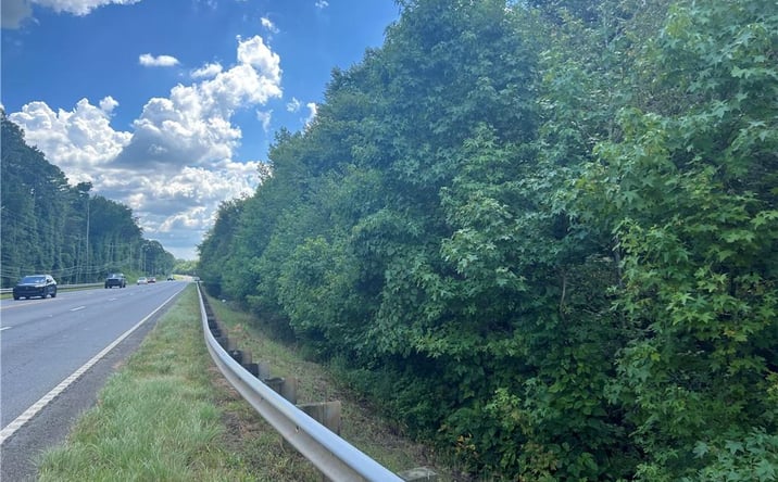 Pictures of Land property located at 0 Highway 411, Rydal, GA 30171 for sales - image #1