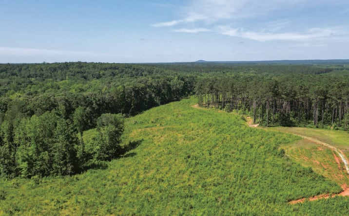 Pictures of Land property located at Forest Service Road & McNeil Road, Abbeville, SC 29620 for sales - image #1