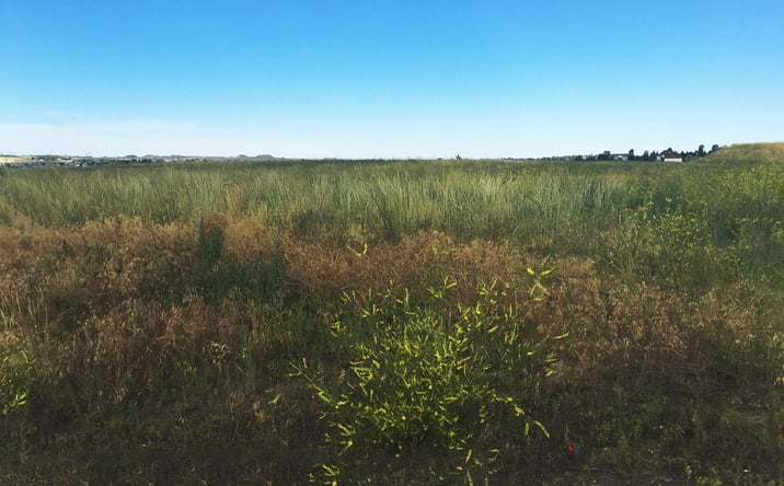 Pictures of Land property located at 222 Sterling St, Gillette, WY 82718 for sales - image #1