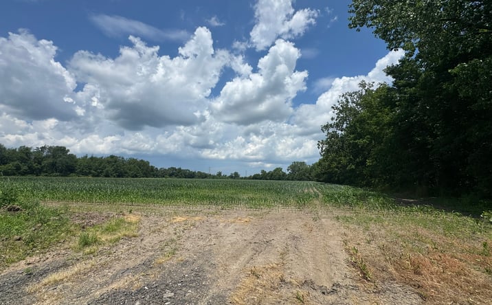 Pictures of Land property located at 31890 Edison Road, New Carlisle, IN 46552 for sales - image #1
