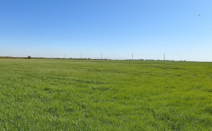 Pictures of Land, Mixed Use, Office property located at 46 Ralph Rd, Imperial, CA 92251 for sales - image #1