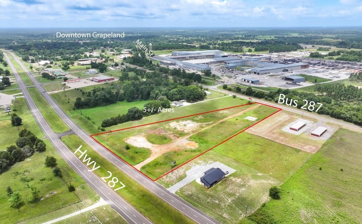 Pictures of Land property located at 00 US 287, Grapeland, TX 75844 for sales - image #1