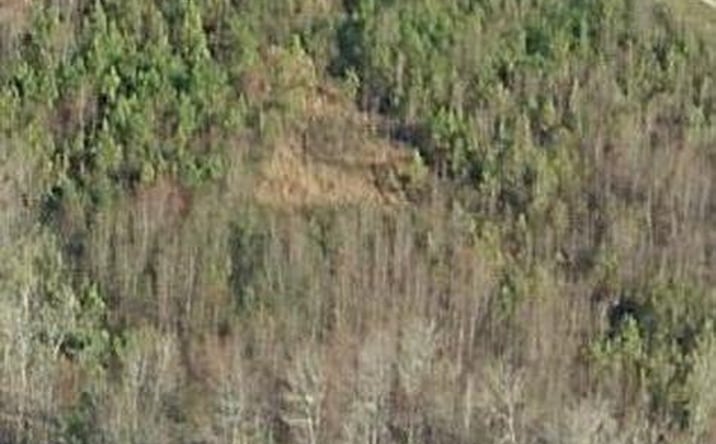 Pictures of Land, Retail property located at 2175 N Main Street, Sumter, SC 29153 for sales - image #1