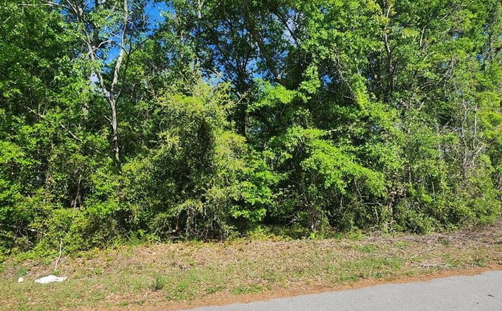 Pictures of Land, Multifamily property located at 2395 Killdee, Sumter, SC 29154 for sales - image #1