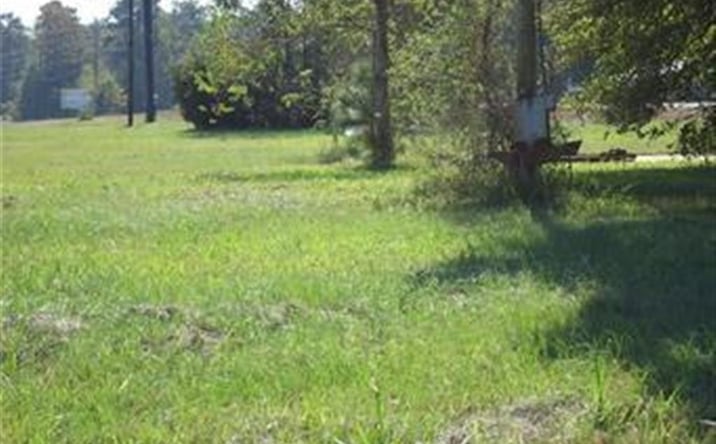 Pictures of Land property located at 1198 N HWY 171 N Highway, Lake Charles, LA 70611 for sales - image #1