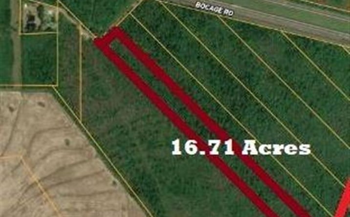 Pictures of Land property located at 0 TBD Dogwood Road, Other City, LA 70531 for sales - image #1