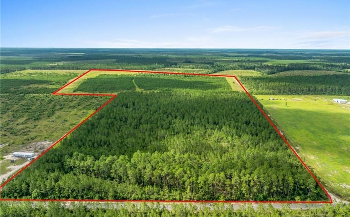 Pictures of Land, Special Purpose property located at 0 Rea Road, DeRidder, LA 70634 for sales - image #1